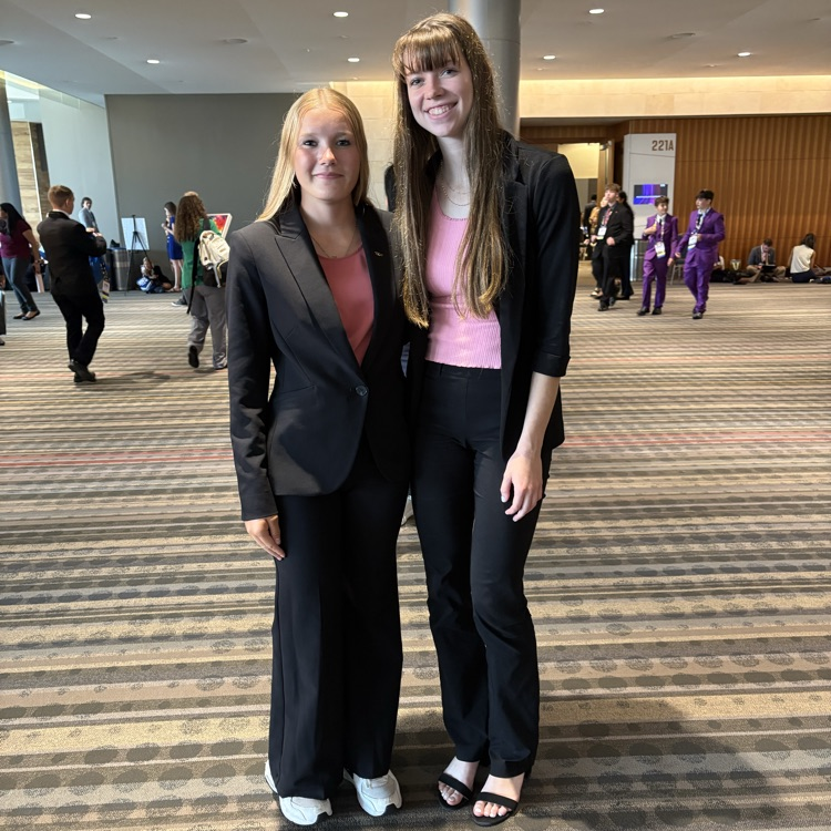 Layla and alyssa financial statement analysis team