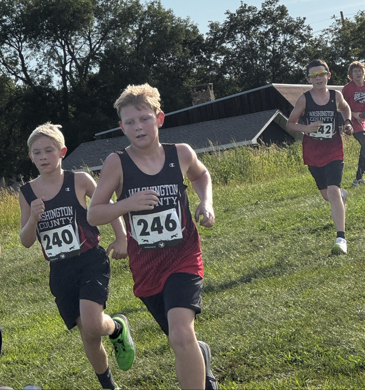 3 runners