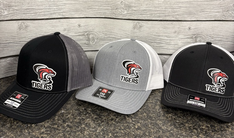 hats with retro tiger logo