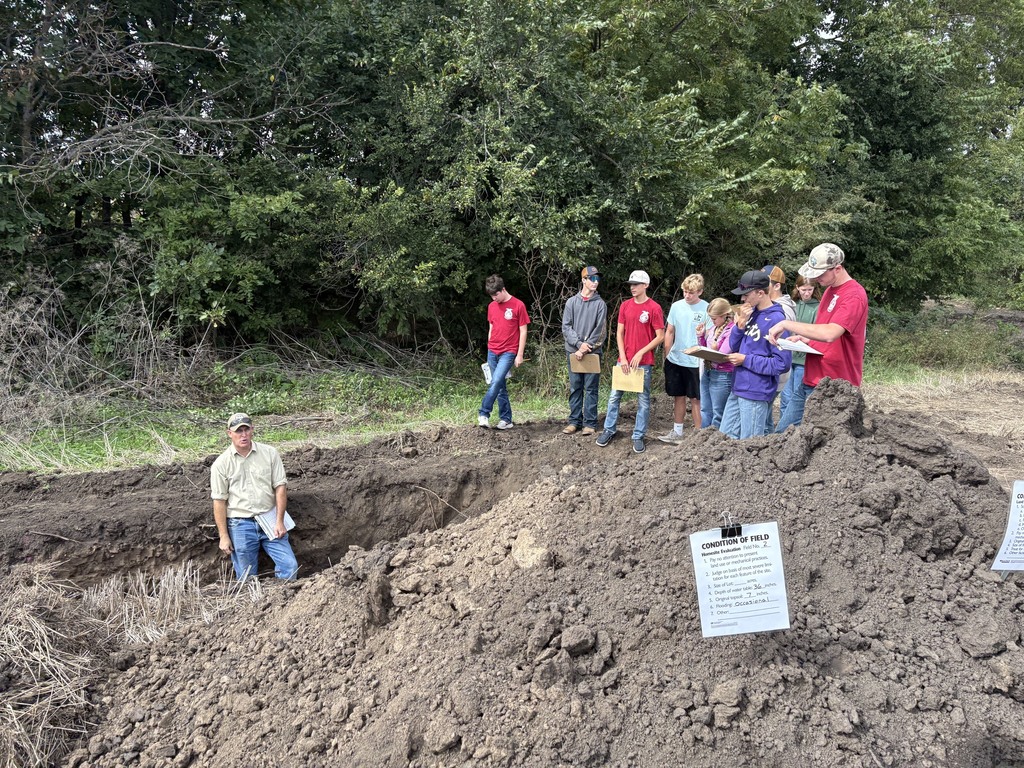 Land site review 1