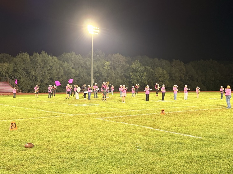 The Tiger Band all decked out in Pink