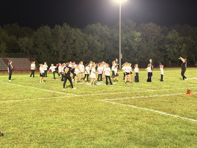 Little Tiger Cheerleaders