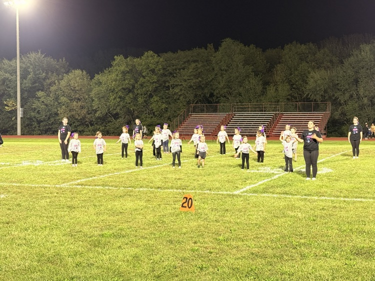 Little Tiger Cheerleaders
