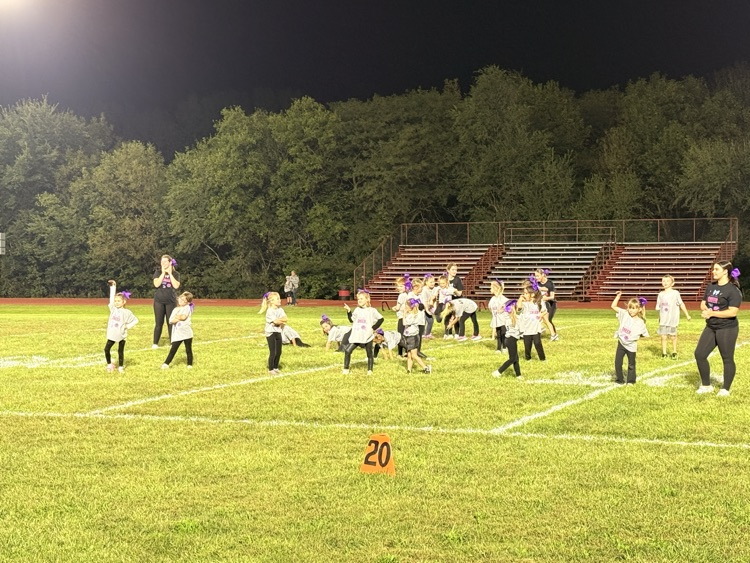 Little Tiger Cheerleaders