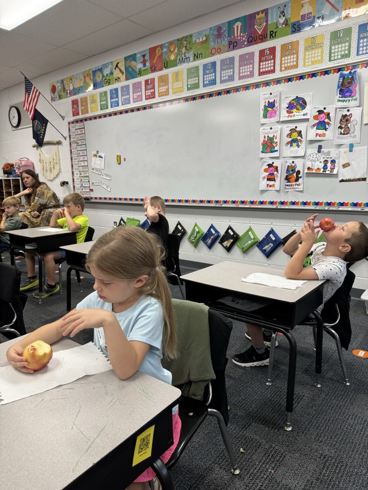 students learning
