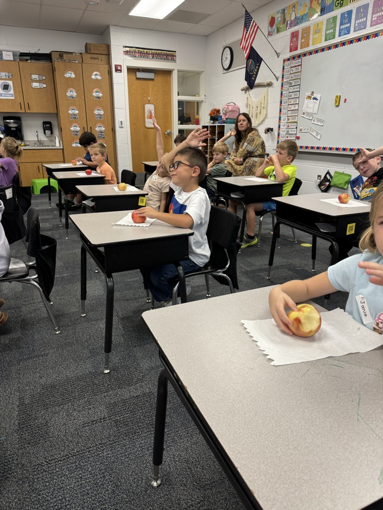 students learning