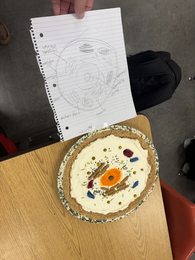 Cell Model 3
