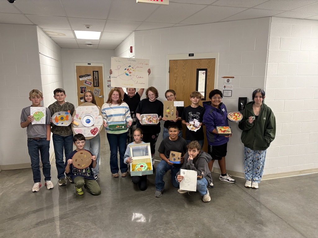 7th Hour Cell Model