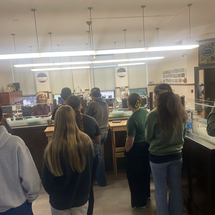 Courthouse visit (Seniors)