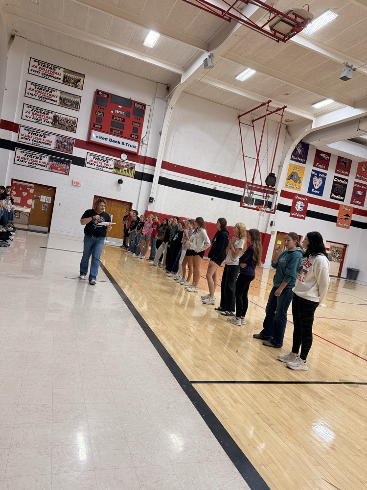 Tiger Volleyball Team and Cross Country Team