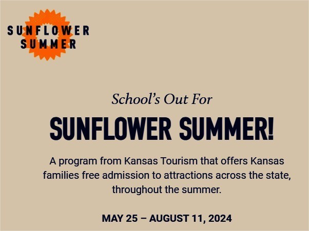 Sunflower Summer 2024