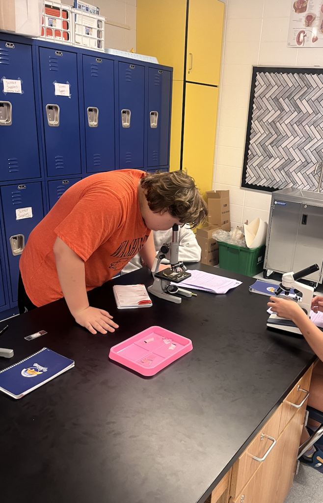 microscopes 3