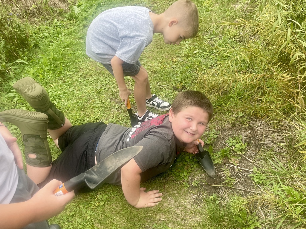 bioblitz