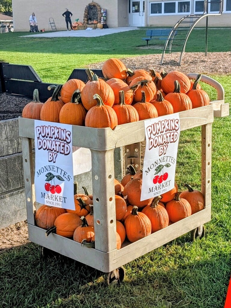 PUMPKINS