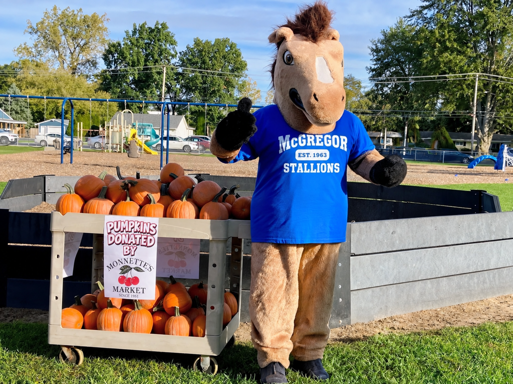 PUMPKINS AND STALLION