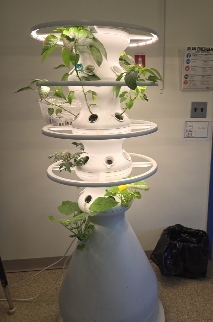 Hydro garden