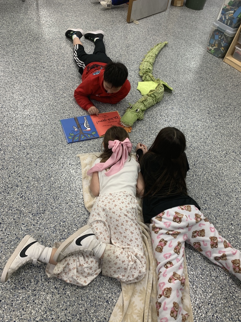 buddy reading