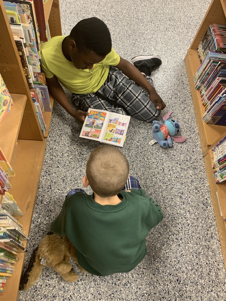 buddy reading