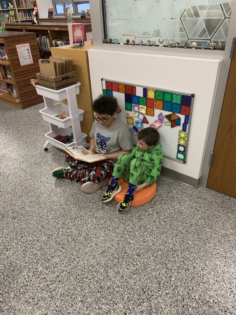 buddy reading