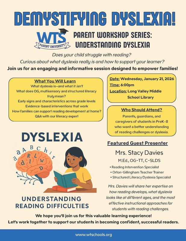 Demystifying Dyslexia