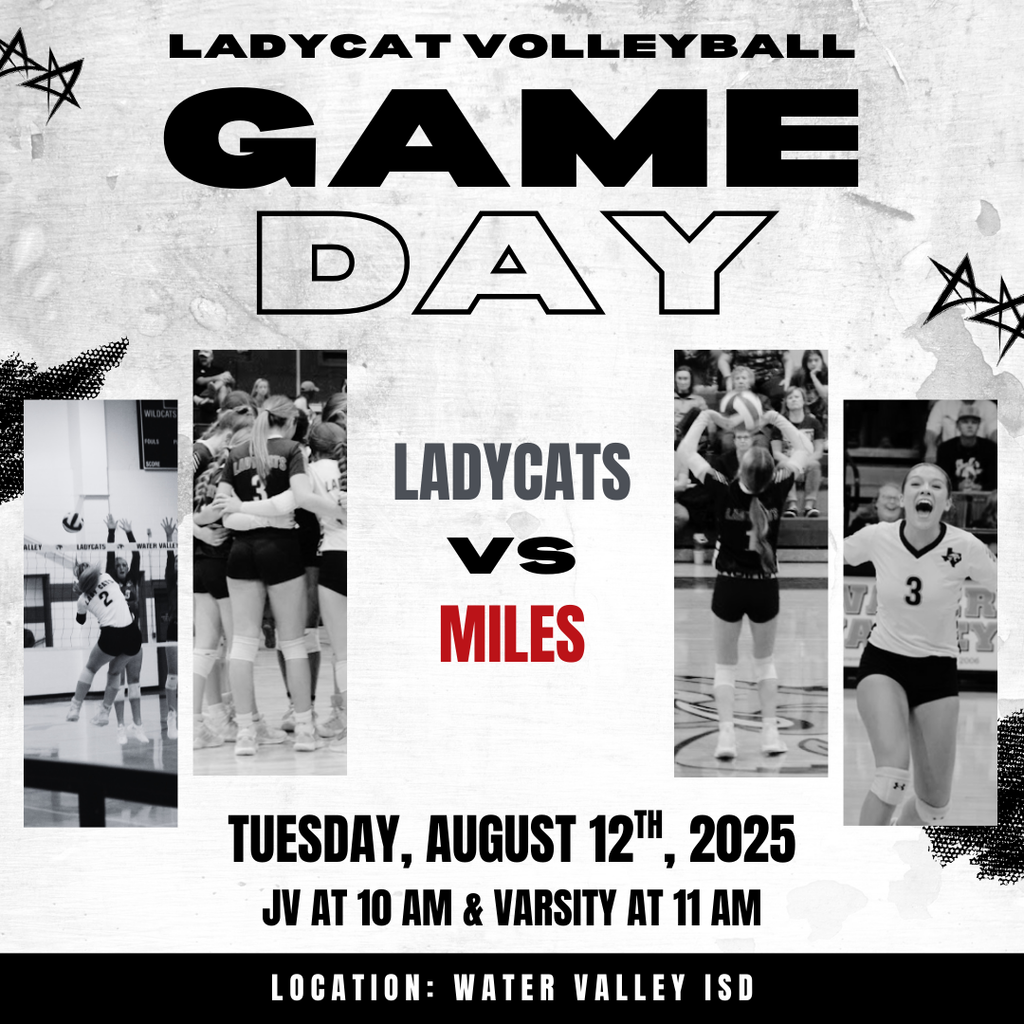 ladycat game day