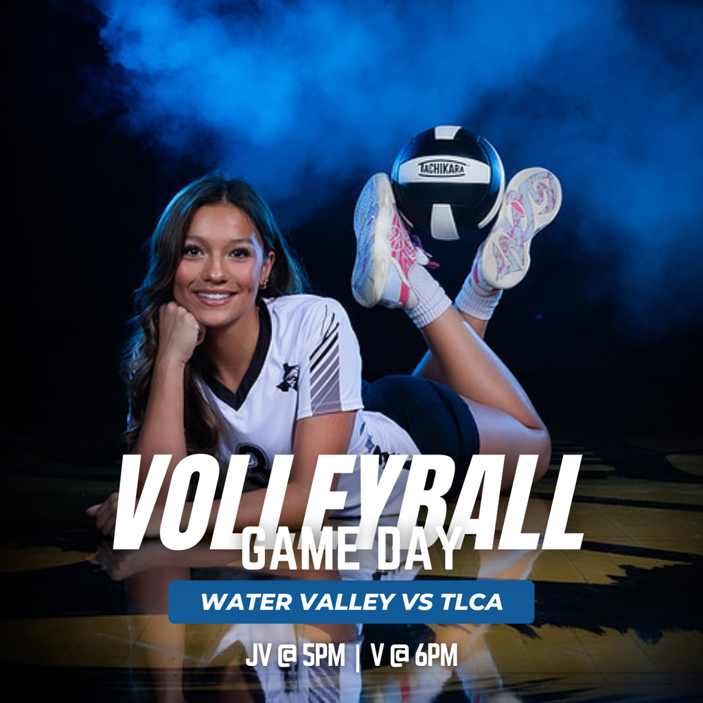 vb