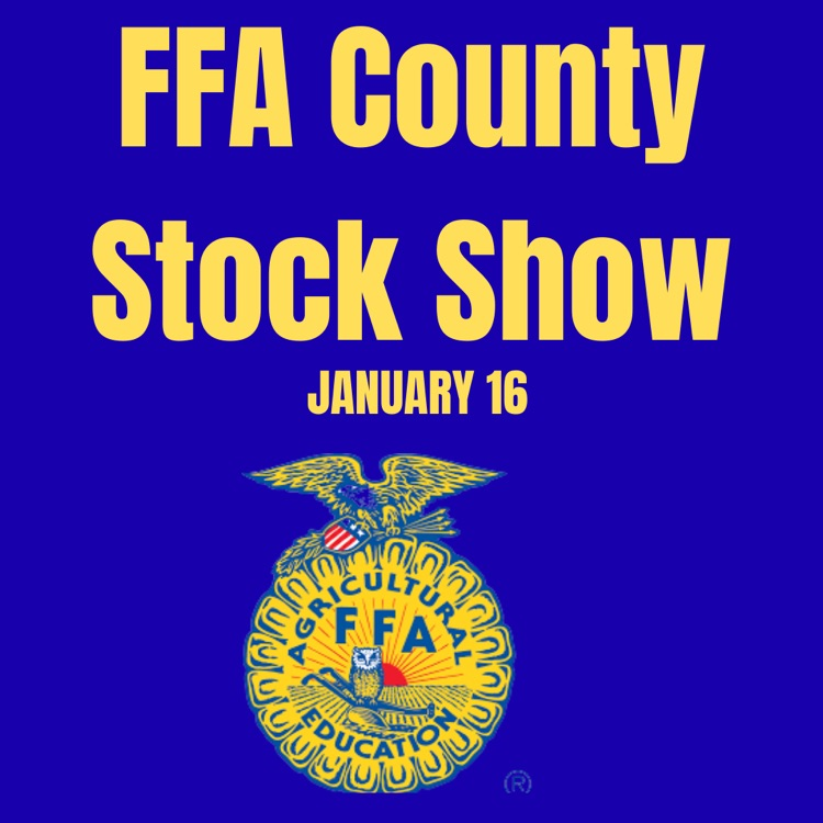 county stock show