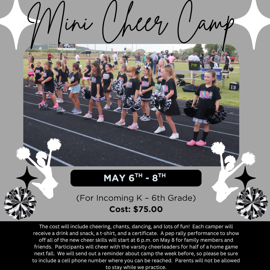 mini cheer camp