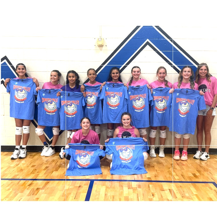 JV Summer League Bracket Champions 