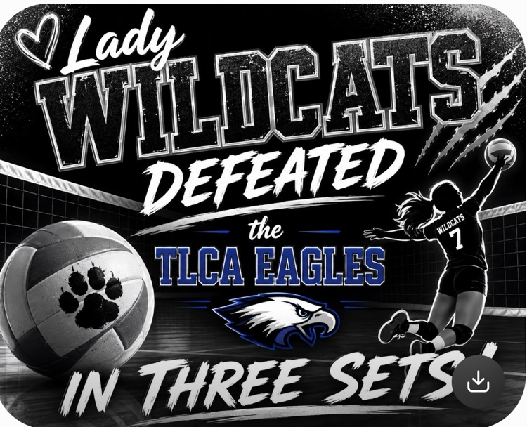 Lady Cats for the win!