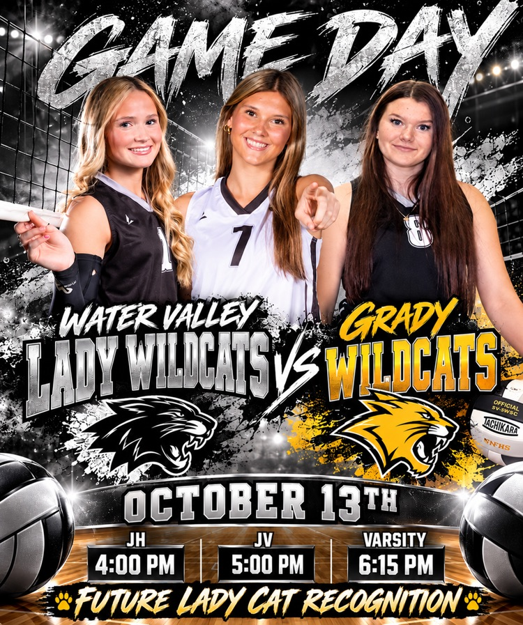 Future Lady Cat Recognition