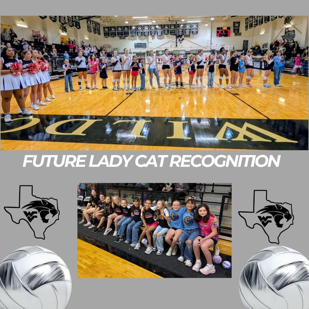 Future Lady Cats