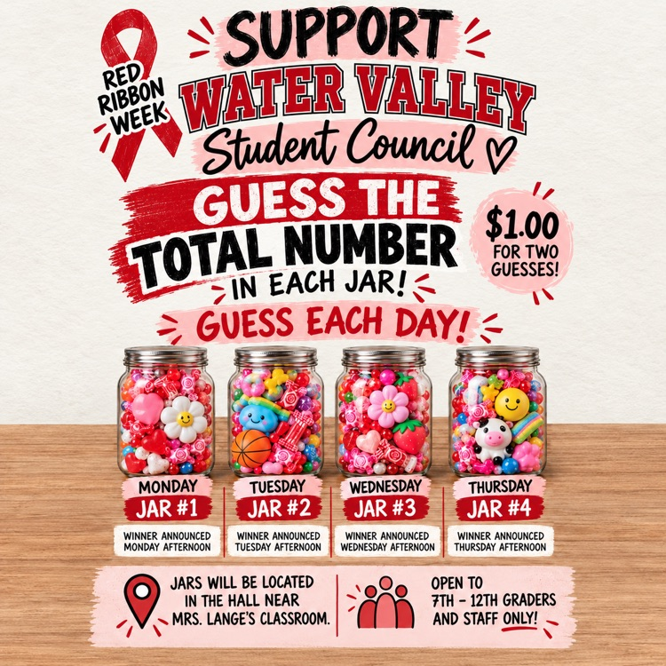 stuco