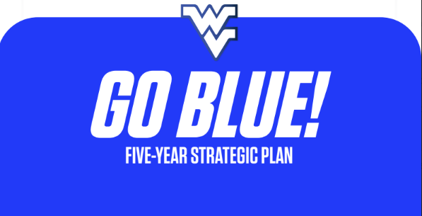 5 year plan