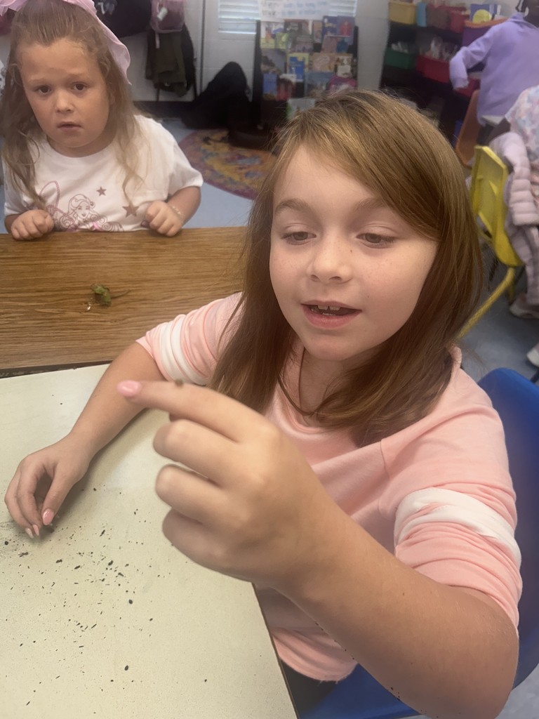 ms.grubbs students 2nd grade
