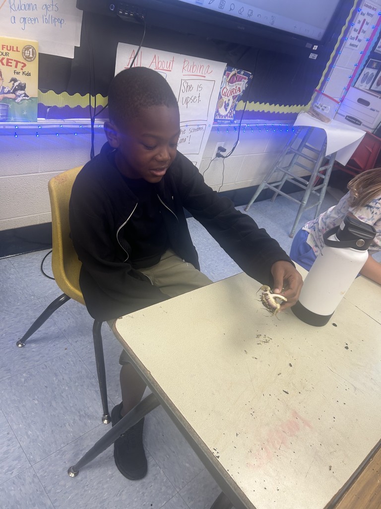 ms.grubbs students 2nd grade