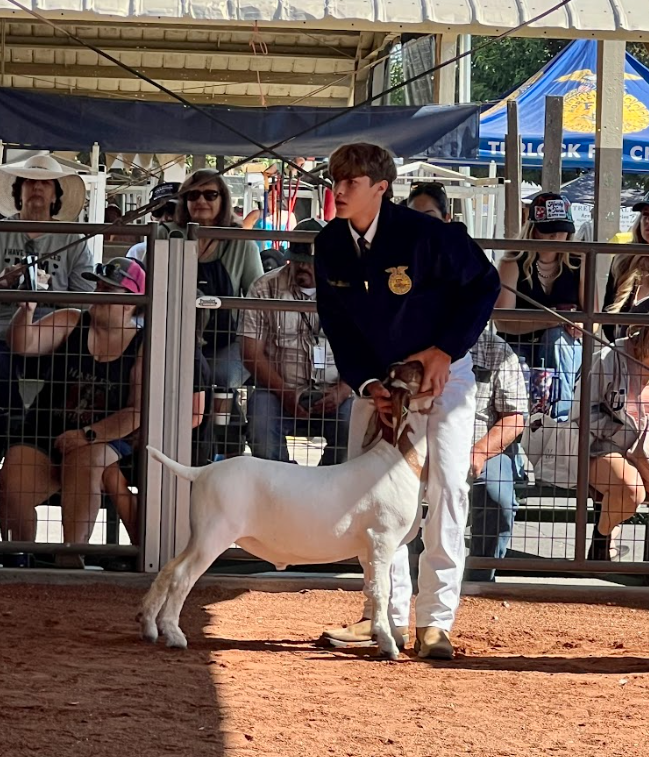 FFA show