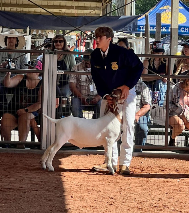 FFA show