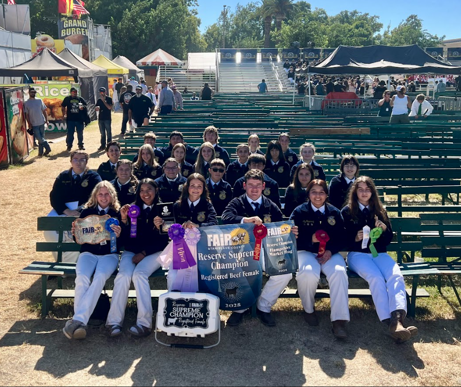 FFA show