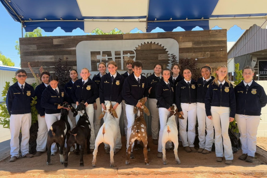 FFA show