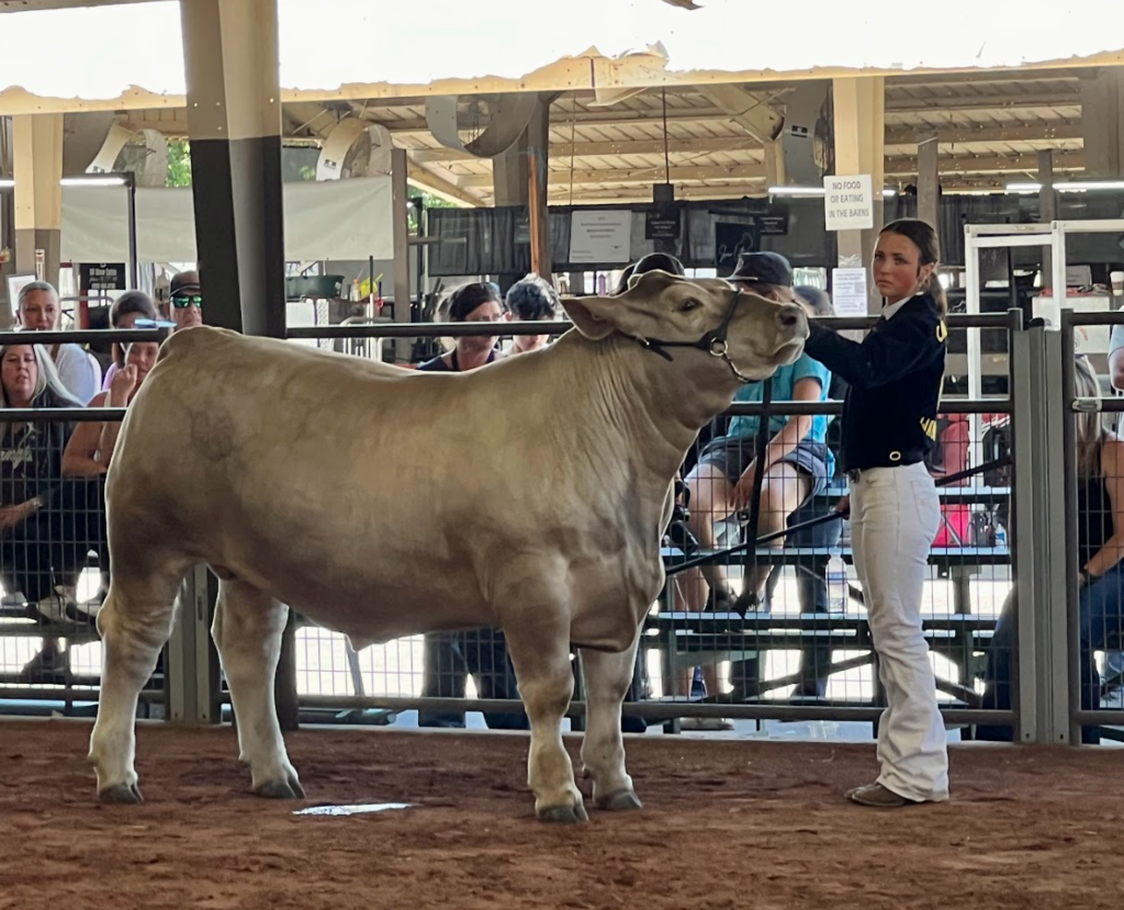 FFA show