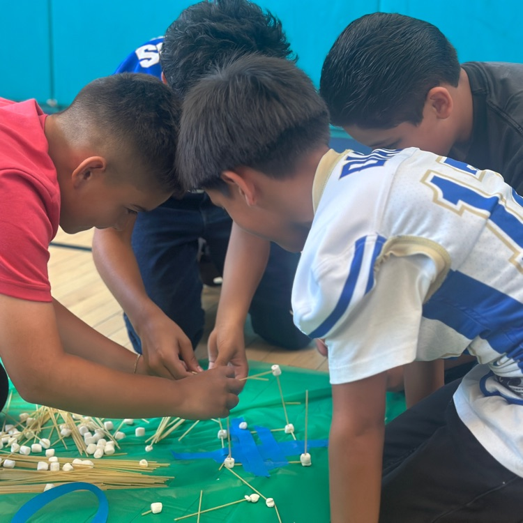 Science Lunchtime Activity 