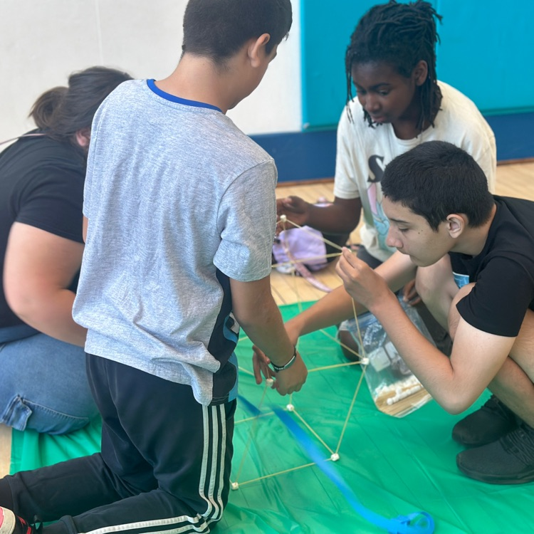 Science Lunchtime Activity 