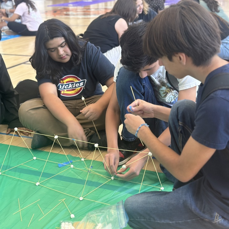 Science Lunchtime Activity 