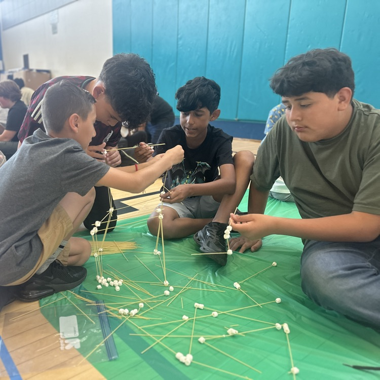 Science Lunchtime Activity 