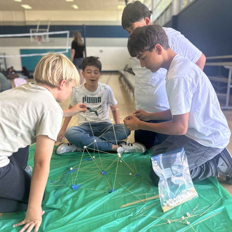 Science Lunchtime Activity 