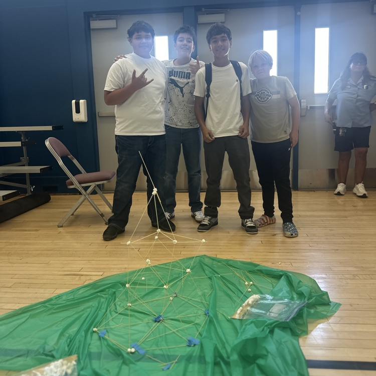 Science Lunchtime Activity 