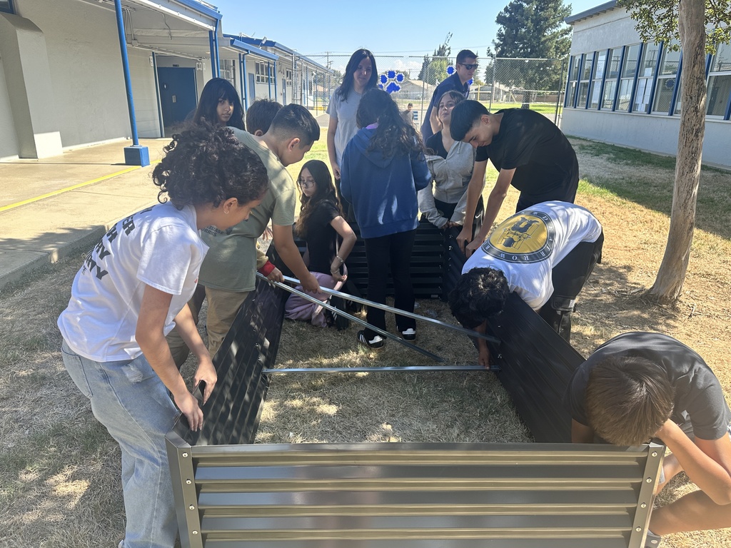 Garden Boxes in Extended Science Class