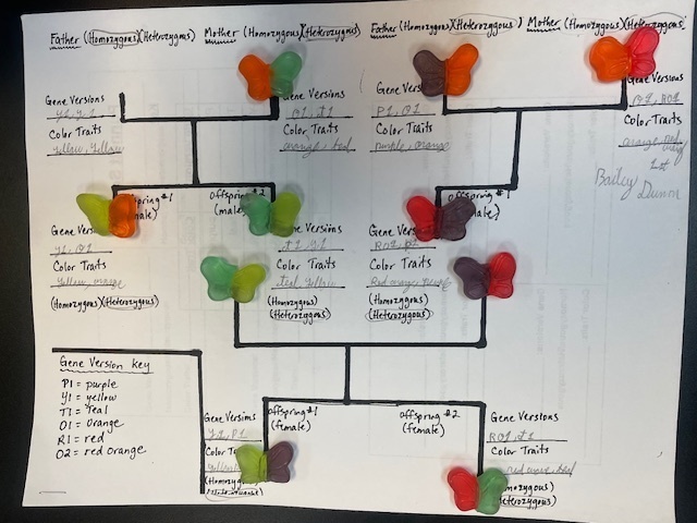 Genetics lesson in Science