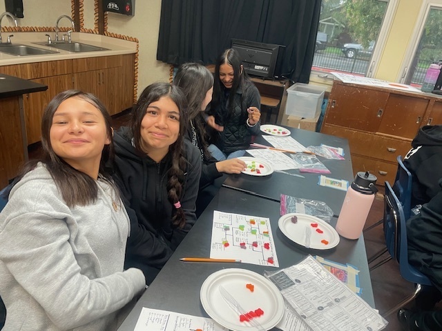 Genetics lesson in Science